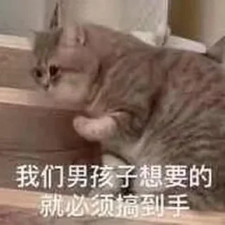 😂