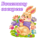 🐰