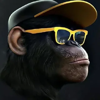 😎