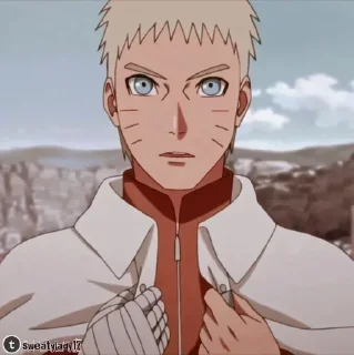 🦊