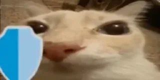 🛡