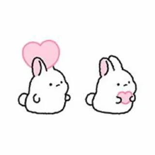 🐇