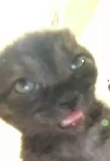 😵