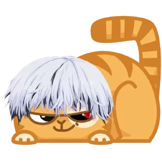 😼