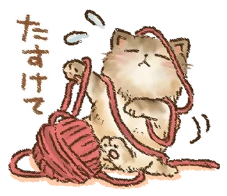 🐱
