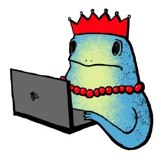 🧑‍💻