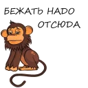 🐒