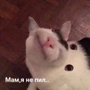 😐