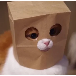 😣
