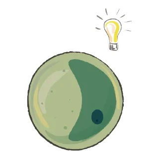 💡