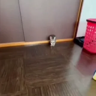🤩