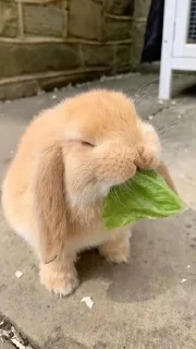 😁