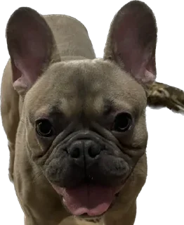 😛