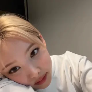 🐰