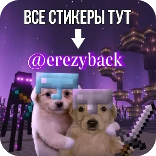 🐶