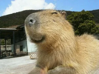 ☺