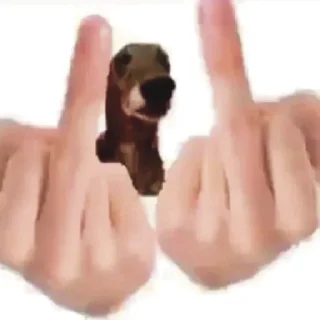 🖕