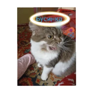 😄