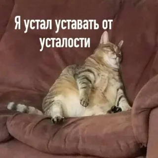 😕