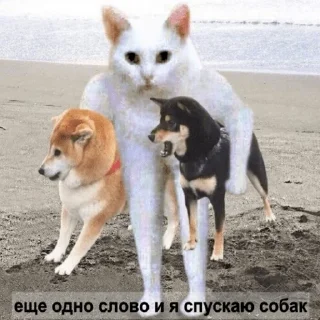 😡