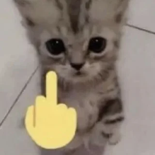 🖕