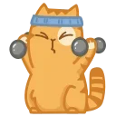 💪