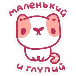 🐱