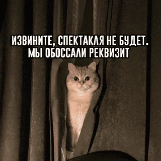 😺