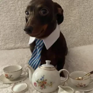 🤓