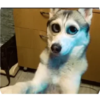 👍