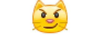 😼