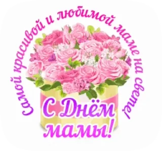 🌺