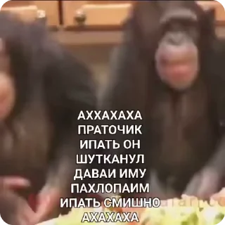 Пон-Дурацкое слово 2 легендарн :: @fStikBot
