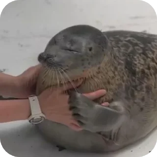 👍