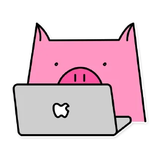 💻