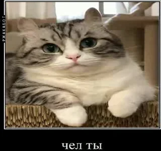 😕