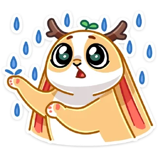 ☔️