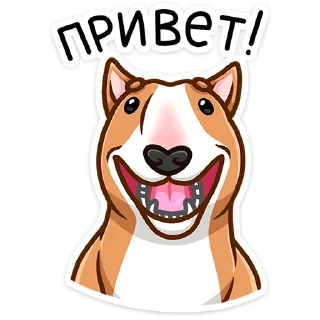 Тай :: @stickroom
