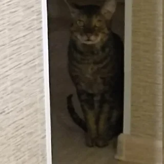 😑