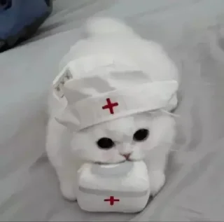 💊