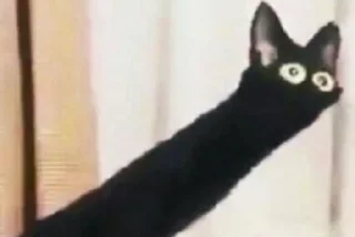 👀