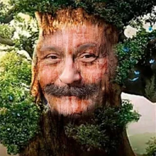 🌳