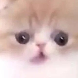 🥵