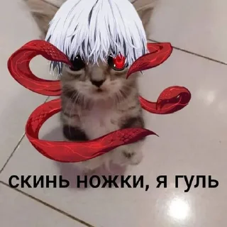 🐙