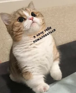 😅