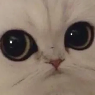 😶