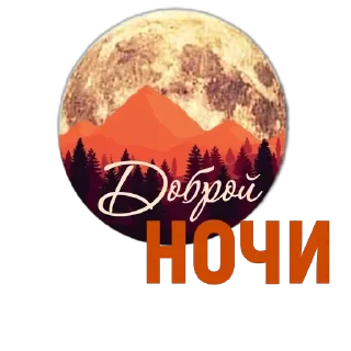 🛌