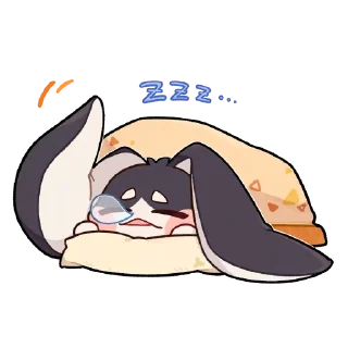 🐈‍⬛
