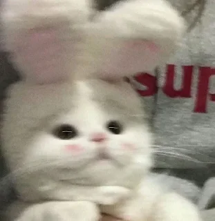🥺