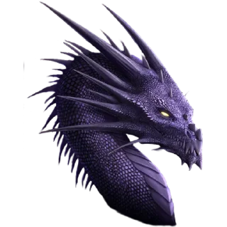 🐲